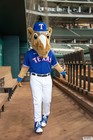 The Arlington All-Star Festival 2022 Gallery 3