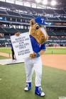 The Arlington All-Star Festival 2022 Gallery 3