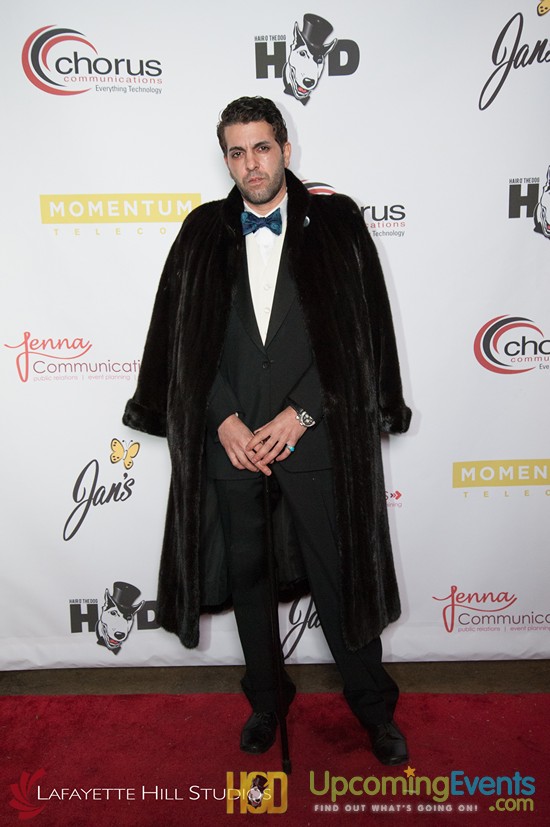 Hair O' The Dog 2017 (Red Carpet)