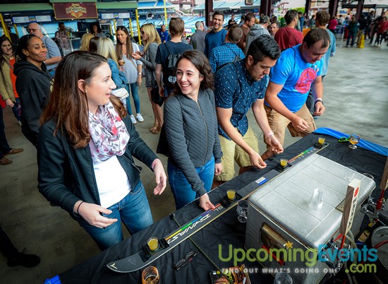 All Star Craft Beer & Wine Festival - Gallery 1