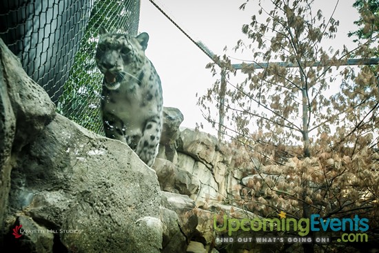 Summer Ale Festival at The Zoo!
