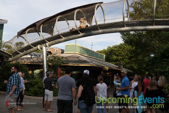 Summer Ale Festival at The Zoo!