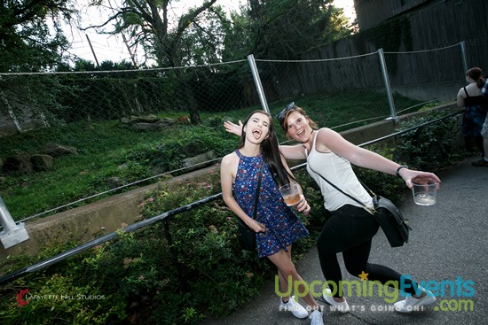 Summer Ale Festival at The Zoo!