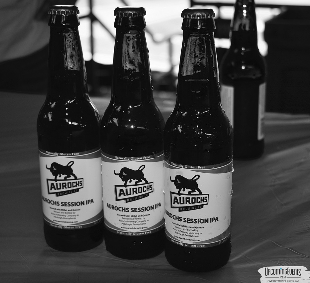 Pittsburgh All Star Festival 2018 - Gallery 3