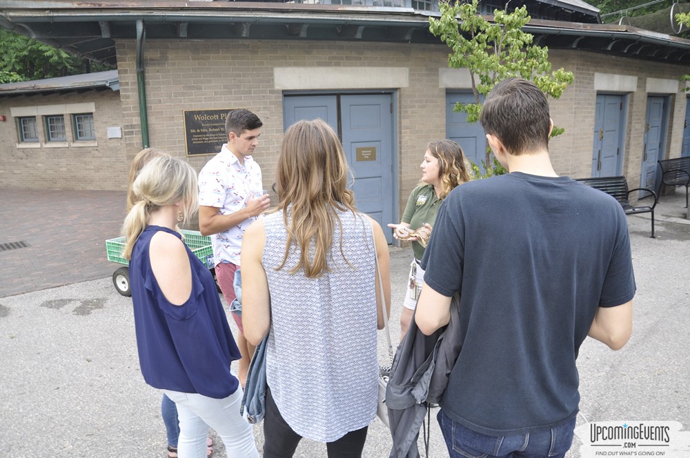 Summer Ale Festival at The Phladelphia Zoo