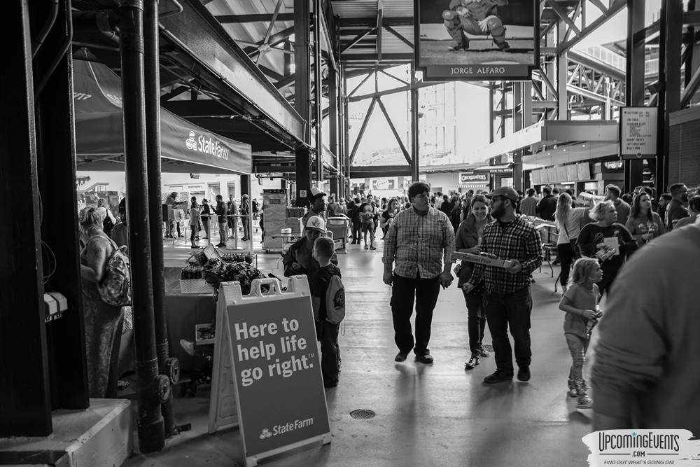 Philly PIZZA Fest - Gallery 3