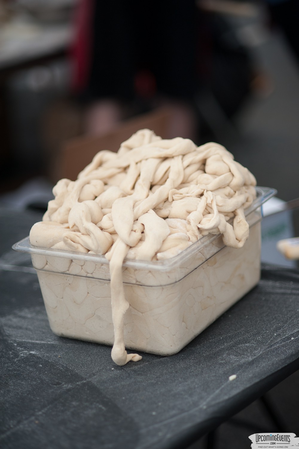 Philly PIZZA Fest - Gallery 1