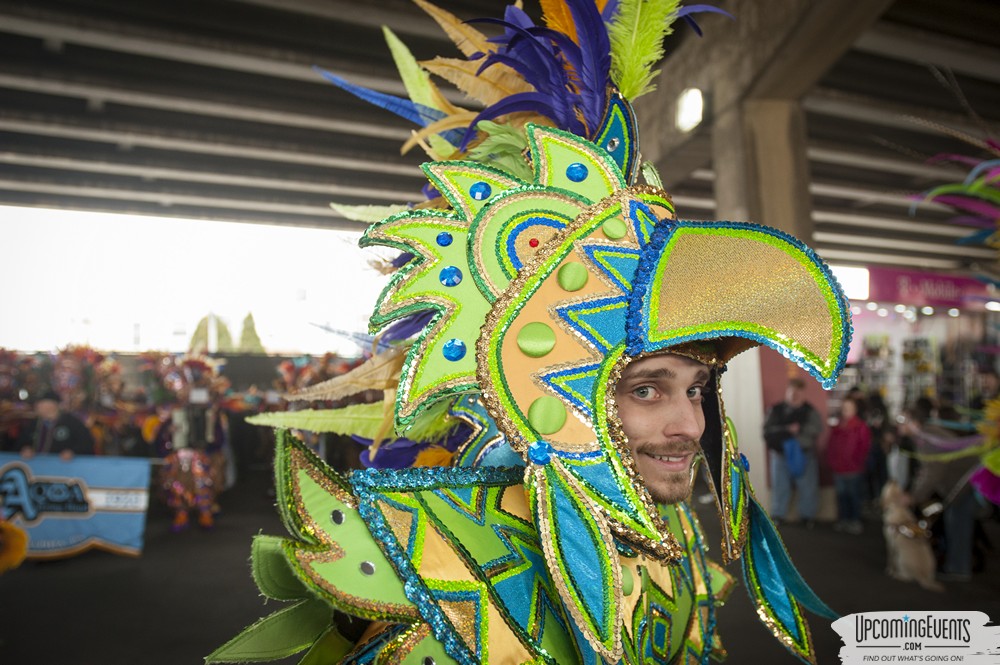 Mummers Mardi Gras Festival (Candid Gallery 1)
