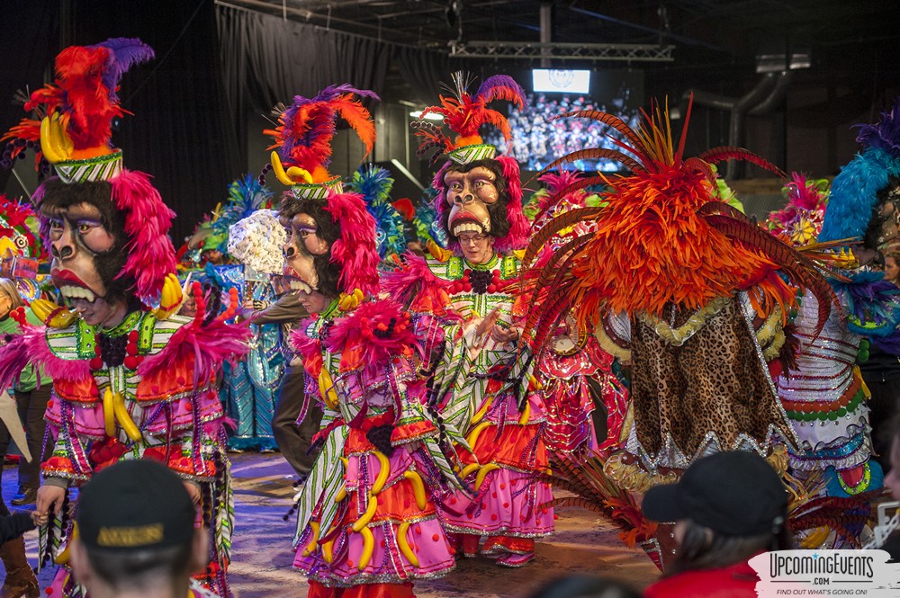 Mummers Mardi Gras Festival (Candid Gallery 1)