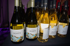 The Philly Wine Fest 2023 (Gallery 5)