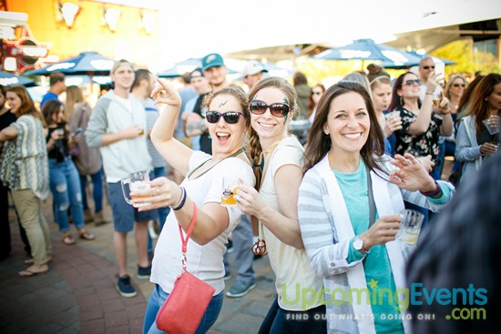 Springfest Live! 2016 (Gallery A)