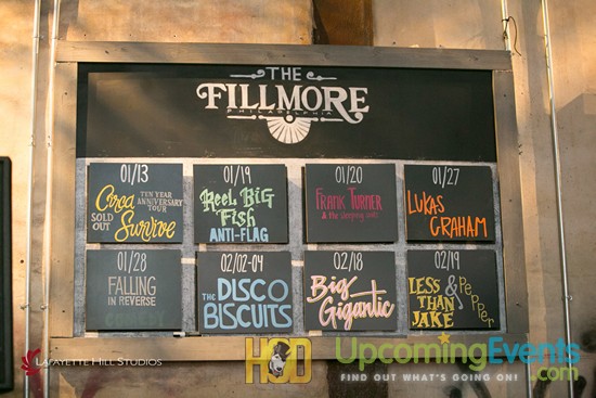 Hair O' The Dog 2017 (Candids)