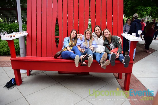 All Star Craft Beer & Wine Festival - Gallery 2