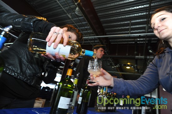 All Star Craft Beer & Wine Festival - Gallery 7