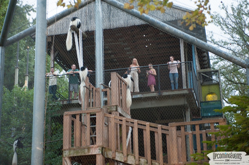 OktoBEARfest at the Philadelphia Zoo