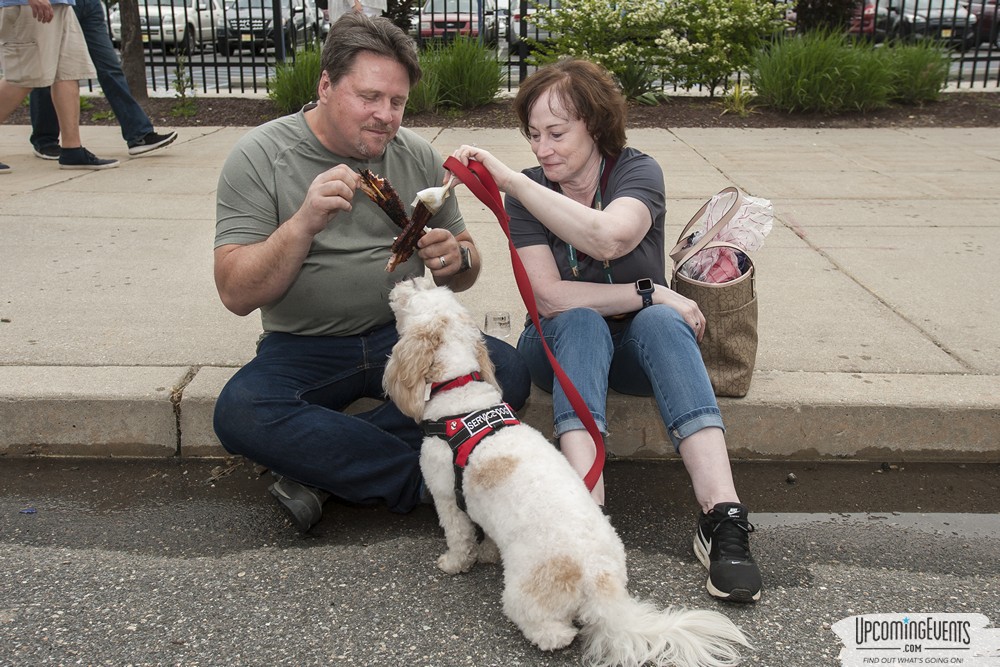 Philly All Star Festival 2019 - Gallery 3