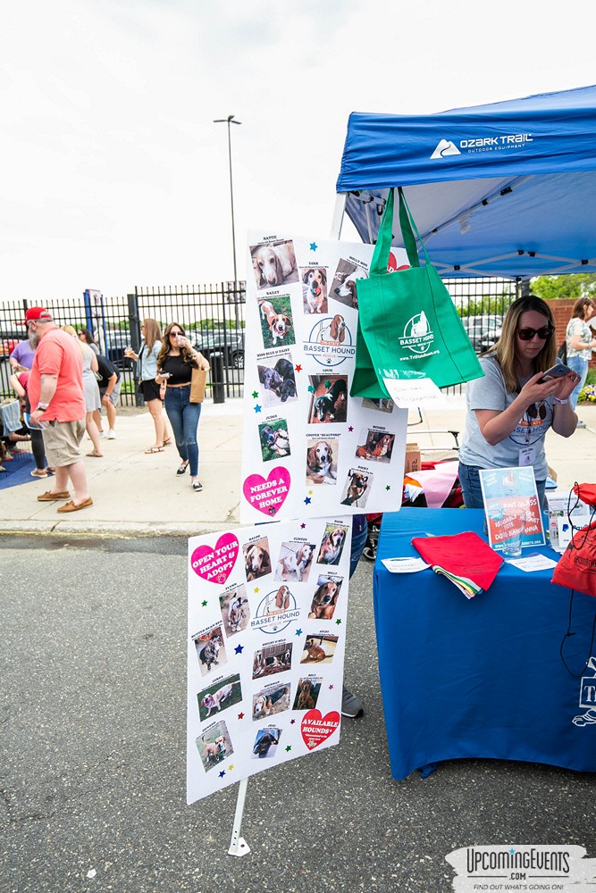 Philly All Star Festival 2019 - Gallery 4