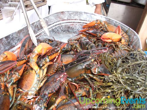 Lobster Bake