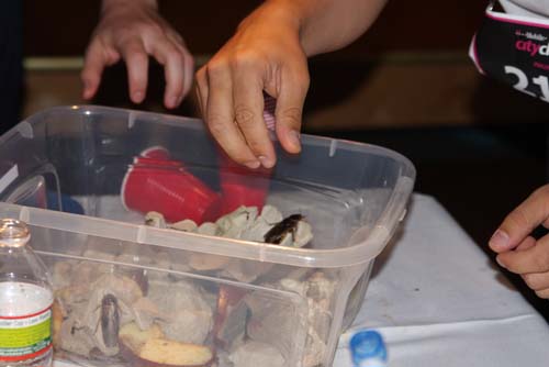 City Chase Philadelphia 2010 - The Race