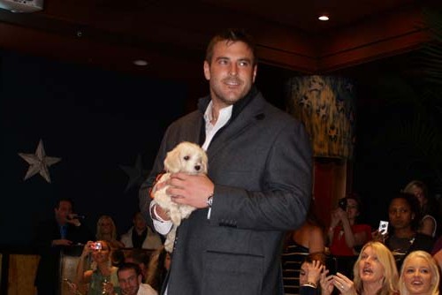 Fashion in Public (Gallery 1)