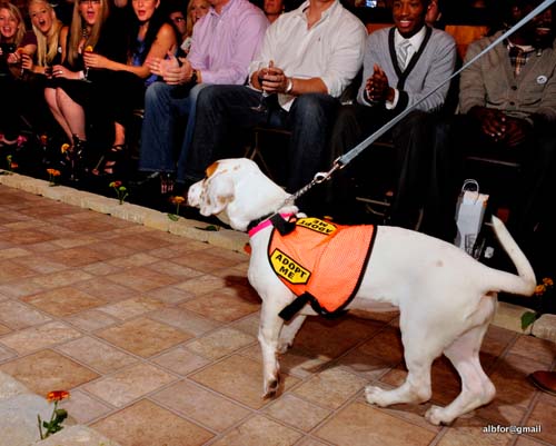 Fashion in Public (Gallery 2)