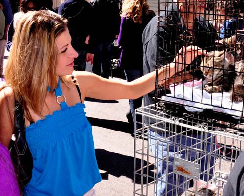 Fall Festival 2010 (Gallery 1)