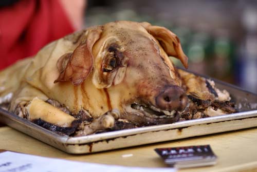 Fall Festival 2010 (Gallery 2)