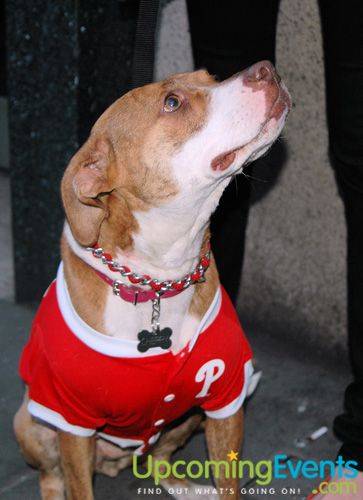 Fall Festival (Gallery 3)