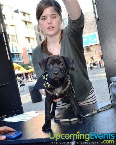 PW Concerts at Piazza