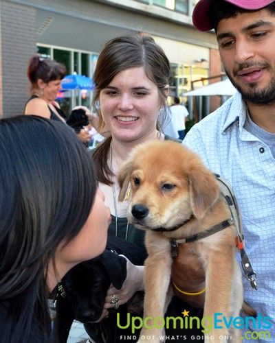 PW Concerts at Piazza