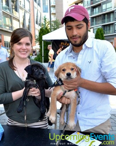 PW Concerts at Piazza