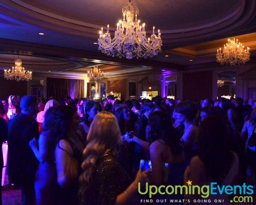 Hair O' the Dog (Gallery B)