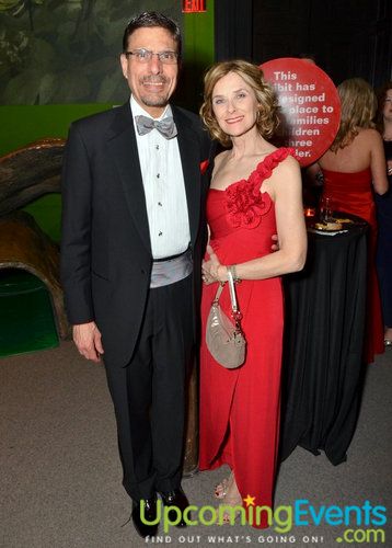 Red Ball 2012 Gallery 1
