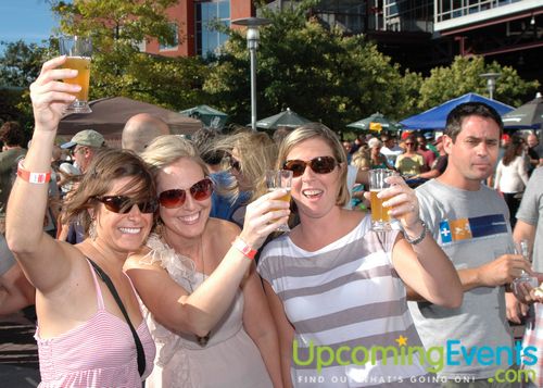 6th Annual Beer Fest at the Ballpark
