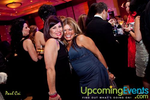 Hair O' The Dog (Gallery B)