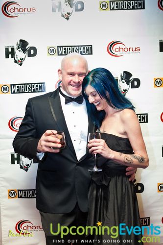 Hair O' The Dog (Gallery B)