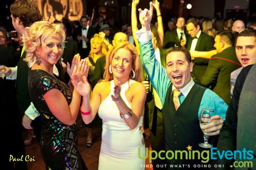 Hair O' The Dog (Gallery A)