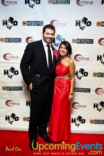 Hair O' The Dog (Gallery A)