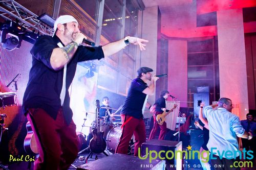 Hair O' The Dog (Gallery A)