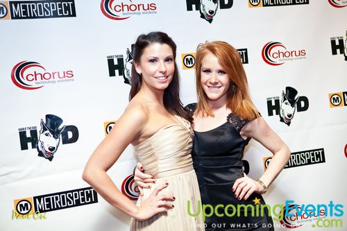 Hair O' The Dog (Gallery A)