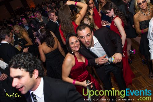 Hair O' The Dog (Gallery A)