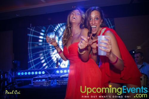 Hair O' The Dog (Gallery A)