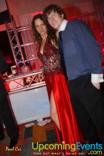 Hair O' The Dog (Gallery A)