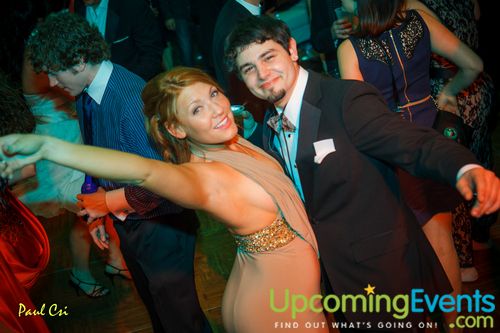 Hair O' The Dog (Gallery A)