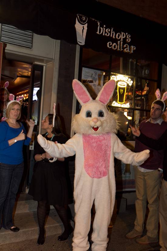 15th Annual Bunny Hop! (Gallery B)