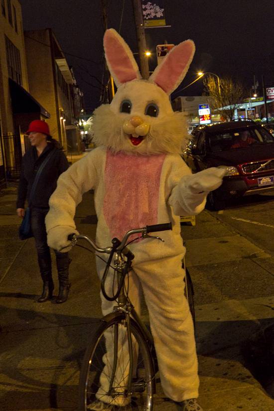 15th Annual Bunny Hop! (Gallery B)