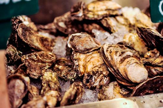 Doc Magrogan's Deck Launch