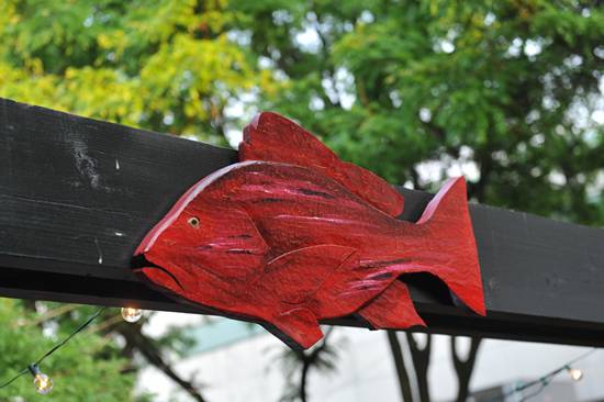 Doc Magrogan's Deck Launch