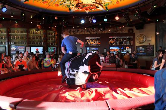 Xtoberfest 2013 (Gallery A)