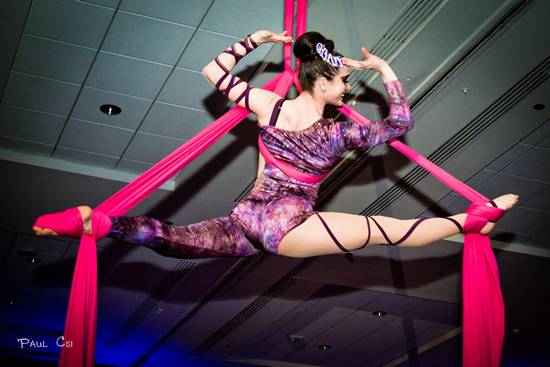 Hair 'O The Dog 2014